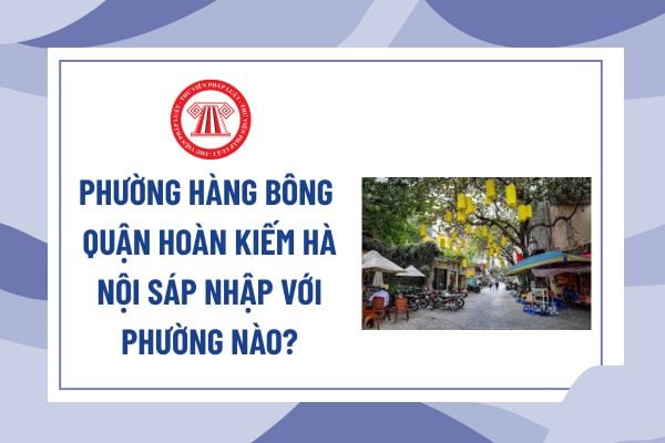 Pháp luật
