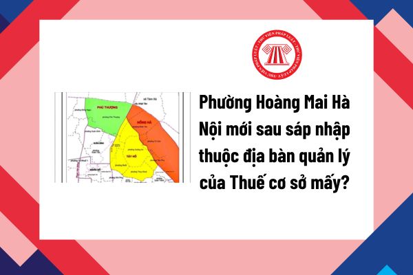 Pháp luật