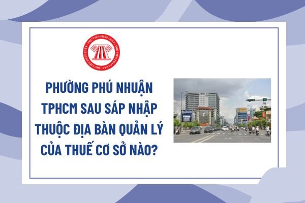 Pháp luật