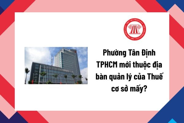 Pháp luật