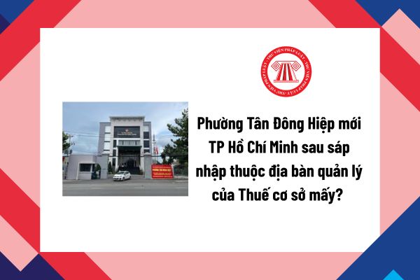 Pháp luật