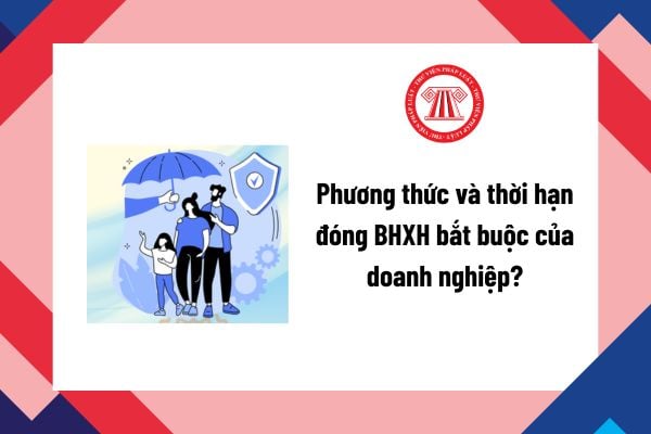 Pháp luật