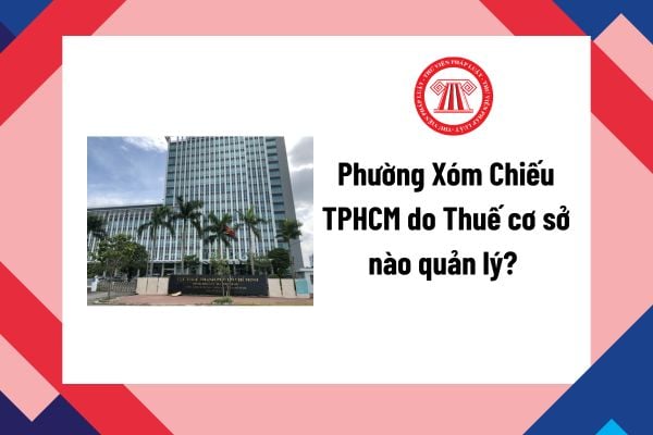 Pháp luật