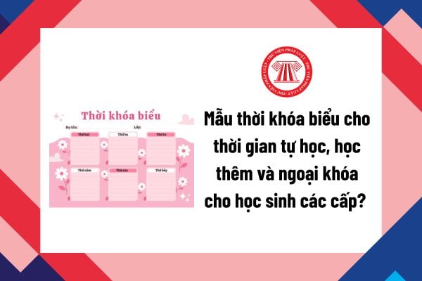 Pháp luật