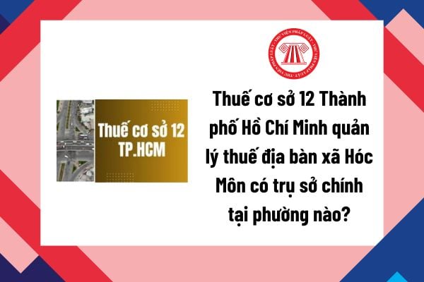Pháp luật