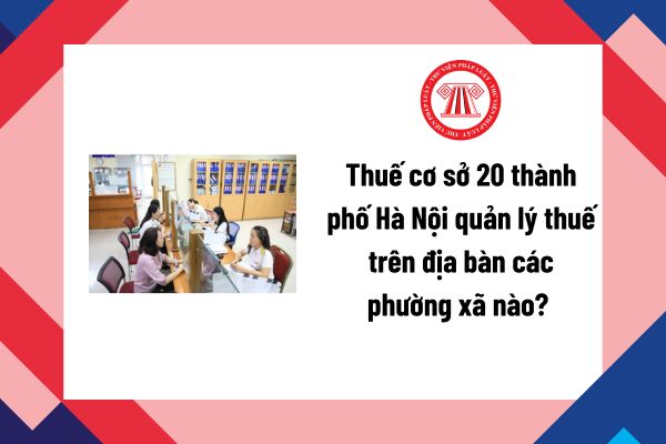 Pháp luật