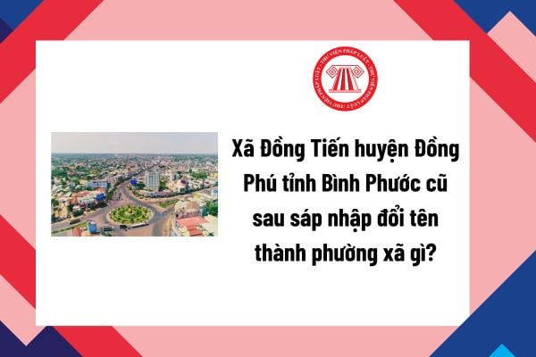 Pháp luật