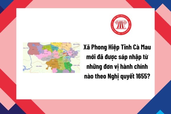 Pháp luật