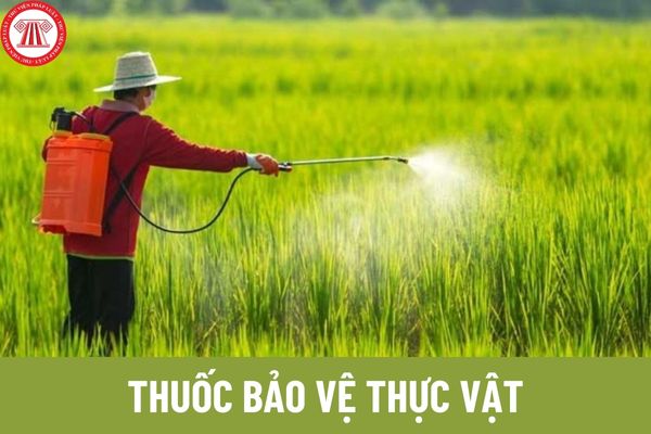 Thuốc bảo vệ thực vật có phải mặt hàng được bình ổn giá không? Thực hiện không đúng những biện pháp bình ổn giá bị phạt bao nhiêu? 