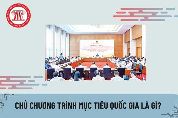 Pháp luật