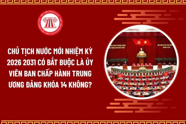Pháp luật