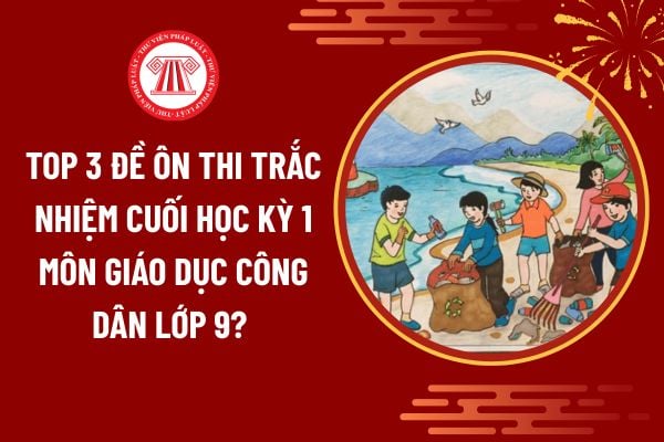 Pháp luật