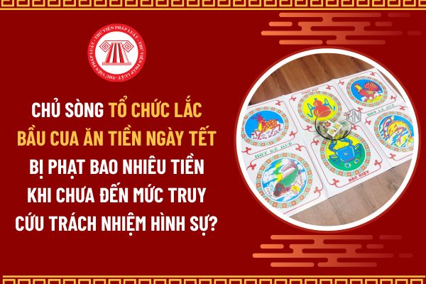 Pháp luật