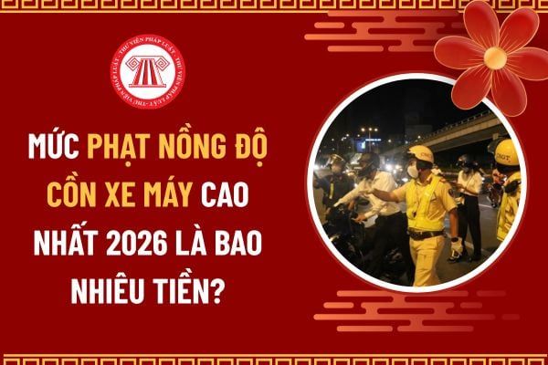 Pháp luật