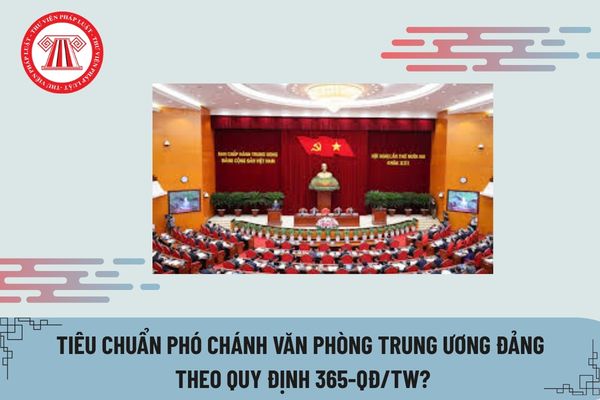 Pháp luật