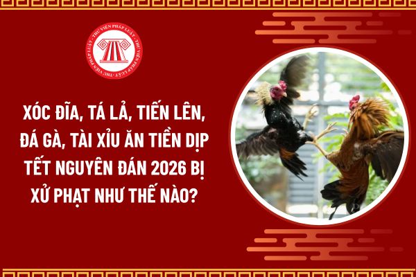 Pháp luật