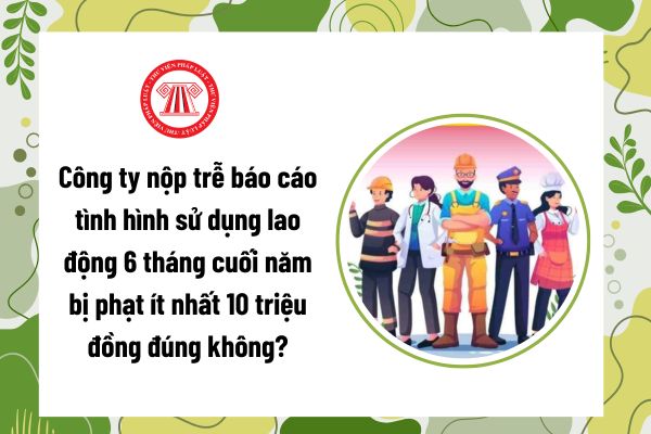 Pháp luật