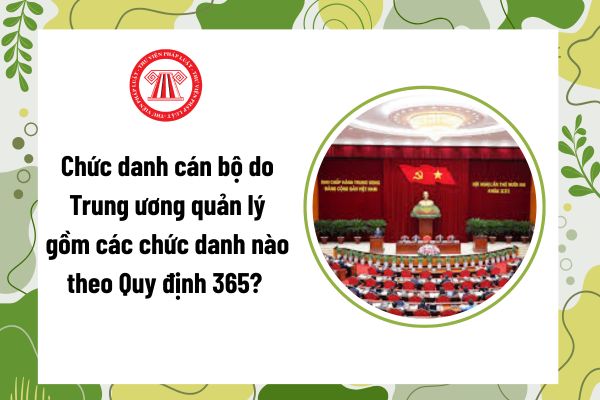Pháp luật