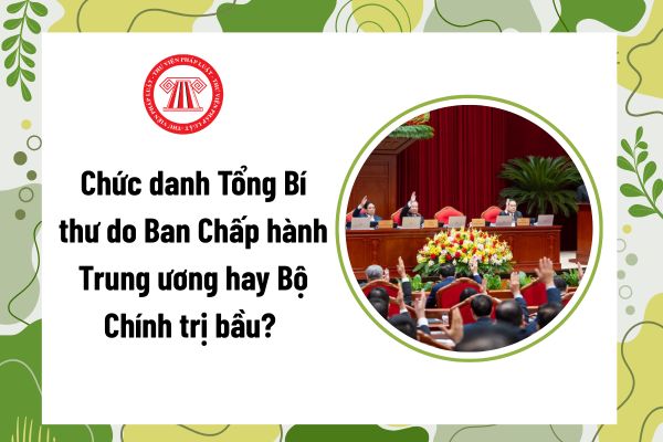 Pháp luật