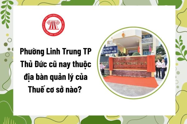 Pháp luật