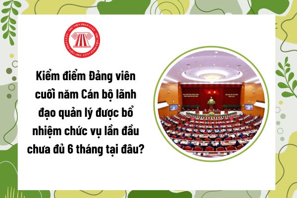 Pháp luật