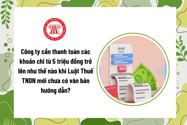 Pháp luật