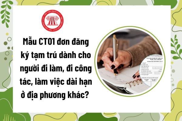 Pháp luật