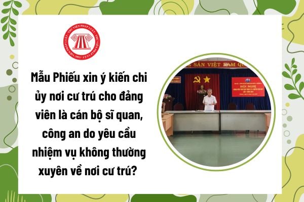 Pháp luật