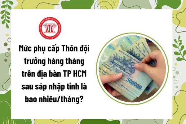 Pháp luật