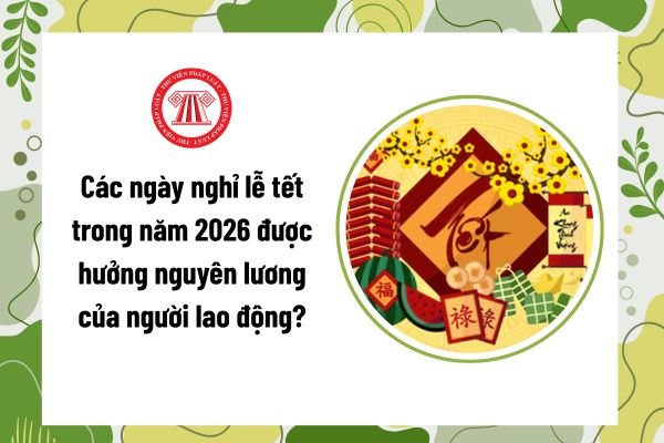 Pháp luật