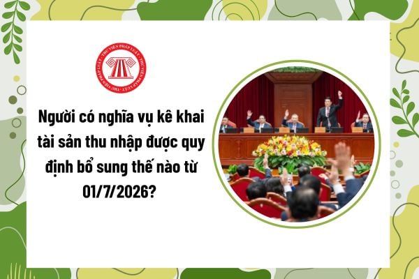 Pháp luật