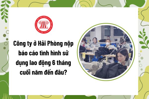 Pháp luật