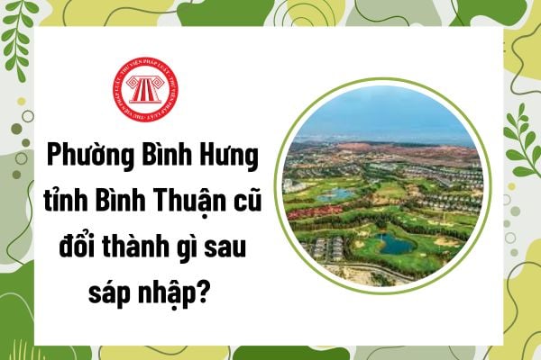 Pháp luật