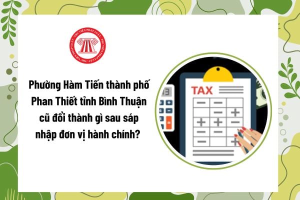 Pháp luật