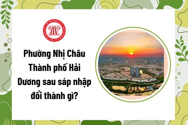 Pháp luật