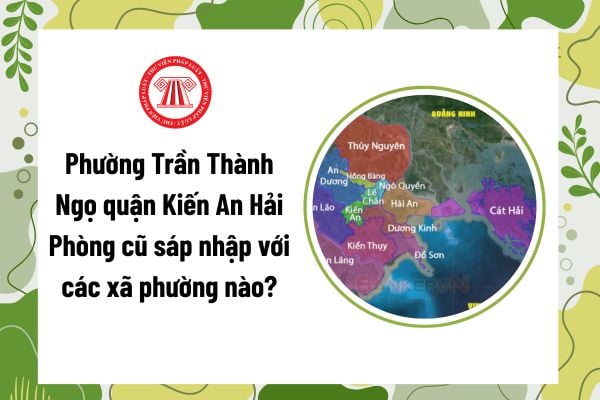 Pháp luật