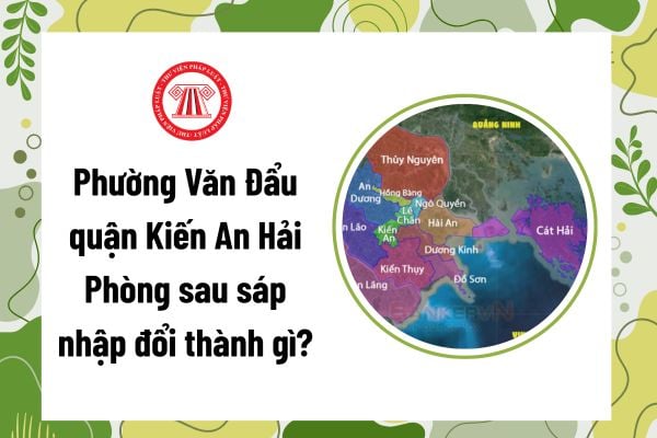 Pháp luật