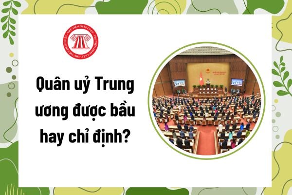 Pháp luật