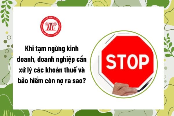 Pháp luật