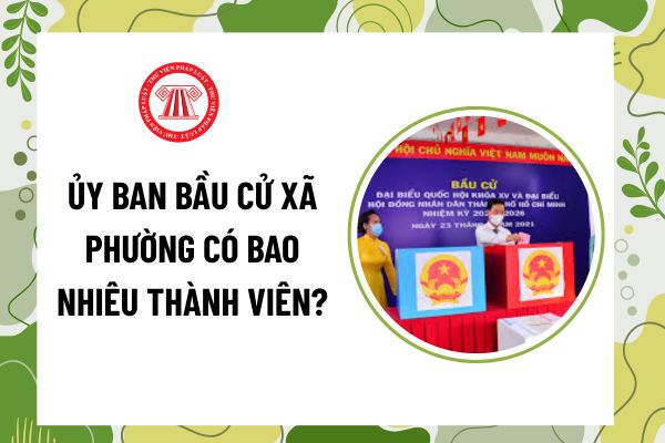 Pháp luật