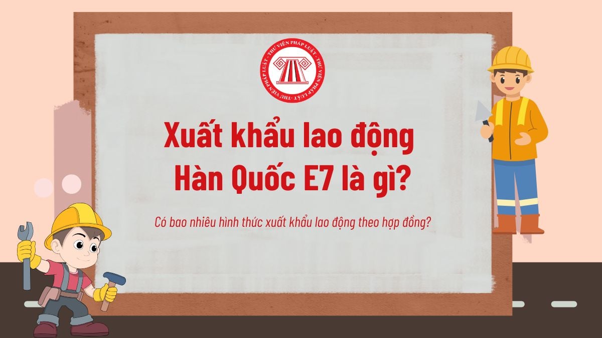 Pháp luật