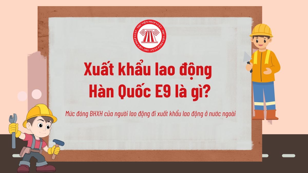 Pháp luật