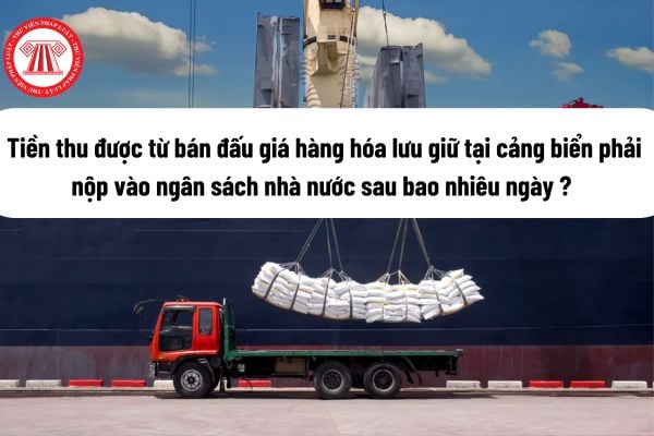 Tiền thu được từ bán đấu giá hàng hóa lưu giữ tại cảng biển phải nộp vào ngân sách nhà nước sau bao nhiêu ngày kể từ khi bán đấu giá hàng hóa?(Hình từ Internet)