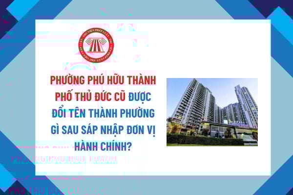 Pháp luật