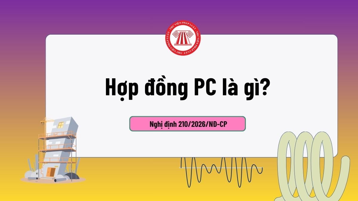 Pháp luật