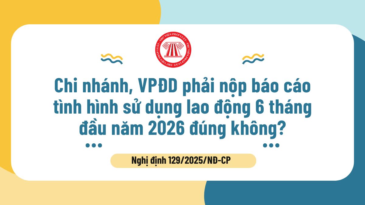 Chi nhánh, VPĐD phải nộp báo cáo tình hình sử dụng lao động 6 tháng đầu năm 2026 đúng không? Hạn chót nộp là này mấy?