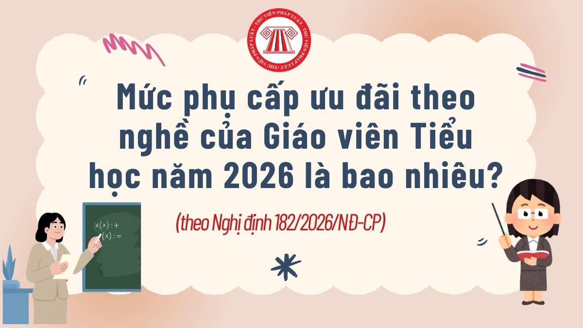 Pháp luật