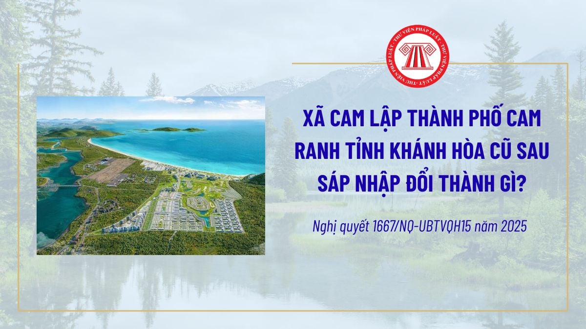 Pháp luật