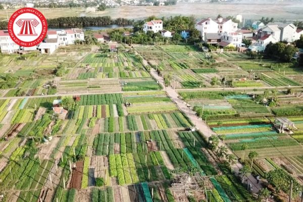 Mức bồi thường khi Nhà nước thu hồi đất gây thiệt hại đối với cây trồng chưa thu hoạch được tính thế nào? 