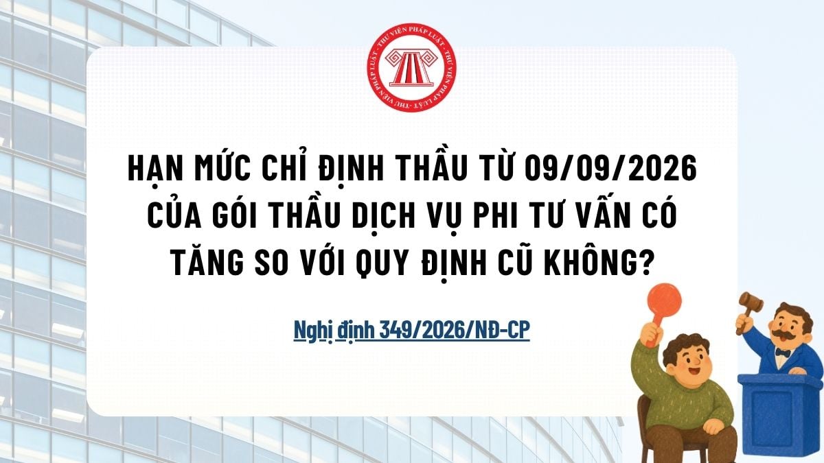 Pháp luật